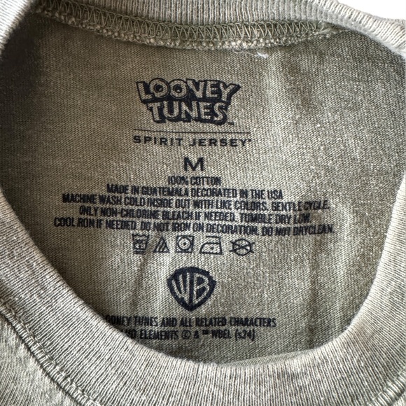 Looney Tunes x Spirit Jersey Unisex Marvin the Martian Mineral Wash Green Sz M - Picture 3 of 4